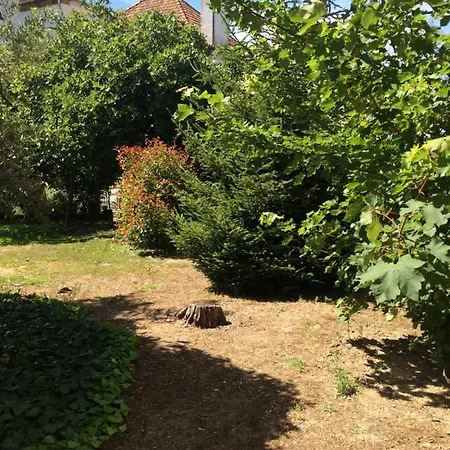 Casa Da Elvira - Quinta De Sto Antonio Midoes