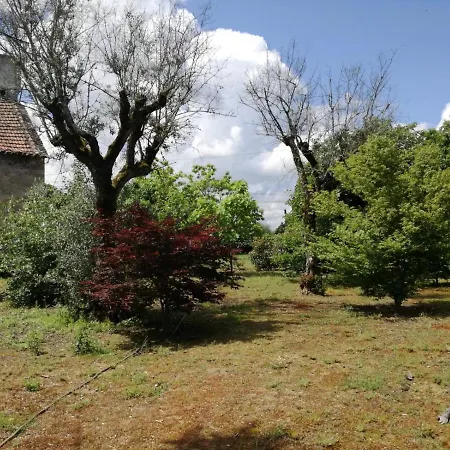Casa Da Elvira - Quinta De Sto Antonio Holiday home *