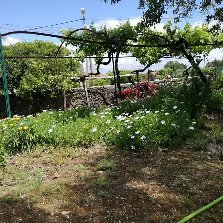 Casa Da Elvira - Quinta De Sto Antonio *