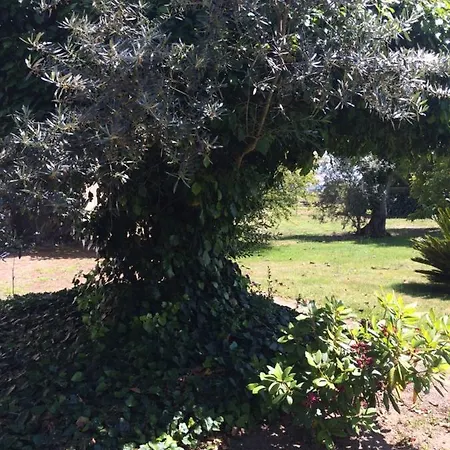 Holiday home Casa Da Elvira - Quinta De Sto Antonio Midoes