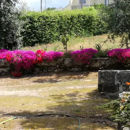 Casa Da Elvira - Quinta De Sto Antonio Holiday home *